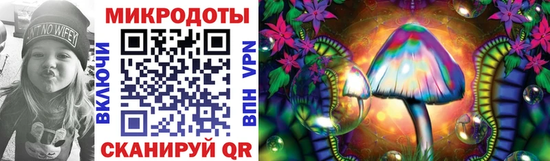 Псилоцибиновые грибы Psilocybe  закладки  Киселёвск 