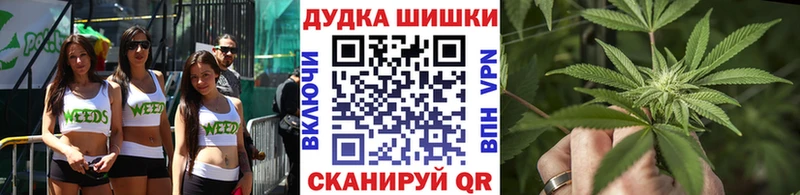 Бошки марихуана план  Киселёвск 